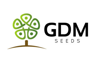 GDM